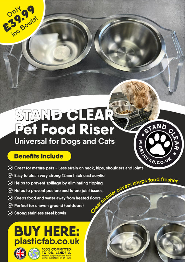 Raised Dog Bowl Holder With 2 Stainless Steel Bowls For Water Food