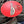 MADRI - Mirror Oval Sign